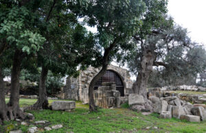 Πάχνα: Πολύχρωμος παράδεισος κρυμμένος ανάμεσα στους 4 λόφους pachna3.jpg