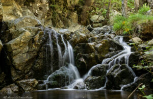 Λεμεσός: Μια πόλη για όλες τις εποχές – Προτάσεις για χειμερινές αποδράσεις DSC_7790.jpg