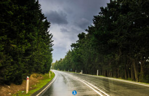 Λεμεσός: Η άλλη όψη της πόλης και τα απόκρυφα εξωτικά σημεία της (Φωτογραφίες) DSC_1499 copy.jpg