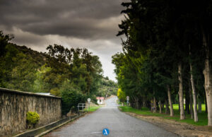 Happy Valley: Μια μικρή Βρετανία στην επαρχία της Λεμεσού (Φωτογραφίες) DSC_1476 copy.jpg