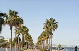 Έβαλαν «στηλούθκια» και στον… Μόλο Λεμεσού! (Δείτε Φωτογραφία) molos stilouthkia