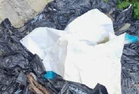 Λεμεσός – Αποκρουστικό θέαμα: Νεκρά καγκουρό, κουκουβάγιες και wallaby του Ζωολογικού Κήπου Λεμεσού σε σακούλες σκουπιδιών…! 277306346_522967099387256_5099351386304143320_n.jpg