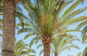 237069104 4262906860453024 2774600089540803272 n