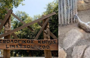 Κόμμα για τα Ζώα: «Να κλείσει ο Ζωολογικός Κήπος Λεμεσού. Τα σκάνδαλα εν πολλά»