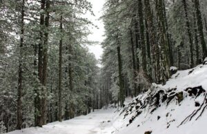 Ετοιμαστείτε να χιονίσει! Κίτρινη προειδοποίηση για ισχυρές καταιγίδες μέχρι και χαλάζι