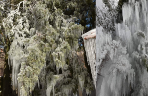 Μοναδικό θέαμα από σταλακτίτες στο Τρόοδος (PHOTOS)