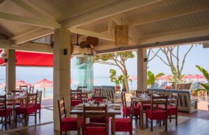 Το PlusSea ανακαινίστηκε και επέστρεψε ανανεωμένο!