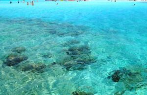 ΣΟΚ στην Αγ. Νάπα: Φορούσαν κουκούλες και επιχείρησαν να τον απαγάγουν μπροστά σε άναυδους πολίτες σε beach bar