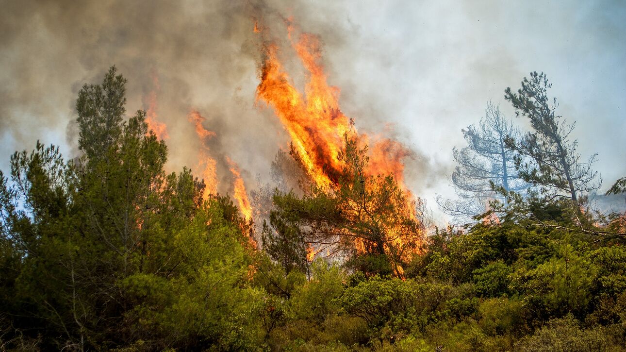 Υπό έλεγχο πυρκαγιά στα Πολεμίδια