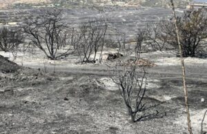 Τραυματίστηκε Πυροσβέστης στην Απεσιά – Ασθενοφόρο στο σημείο – Συνεχείς αναζωπυρώσεις