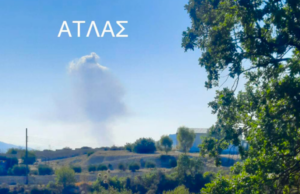 Φωτιά στη Λεμεσό: Ζημιές σε Ελιές και Άγρια Βλάστηση