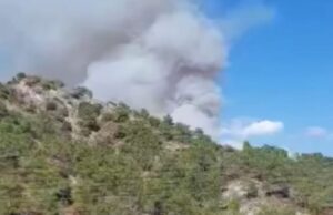 ΤΩΡΑ: Νέα πυρκαγιά απειλεί δάσος στην επαρχία Λεμεσού – «Επικίνδυνη η κατάσταση» (ΒΙΝΤΕΟ)