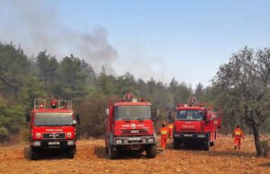Ανατροπή Πυροσβεστικού Οχήματος κατά την Καταπολέμηση της Πυρκαγιάς στο Ομόδος