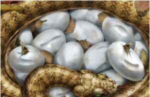 Gurupolitico: Ως εδώ!