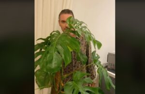 Γιατί κρύβεται πίσω από τον φίκο ο τέως Υφ. Πολιτισμού, Μιχάλης Χατζηγιάννης;