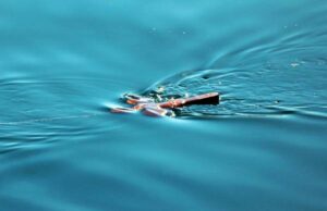 Λεμεσός: Γιόρτασε τα Θεοφάνεια με λαμπρότητα!