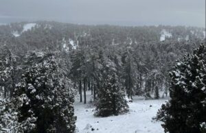Μαγευτικές ΕΙΚΟΝΕΣ / ΒΙΝΤΕΟ από τα χιόνια στο Τρόοδος: Τι αναφέρει ο Σταθμάρχης