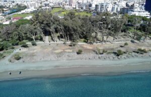 Ξαναφυτεύονται οι 100 ευκάλυπτοι στο Δασούδι την Παρασκευή