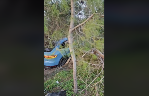 ΒΙΝΤΕΟ: Χλιδάτη Porsche στη Λεμεσό «καρφώθηκε» σε δέντρα