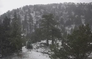 Χιόνισε στο Τρόοδος! ΕΙΚΟΝΕΣ