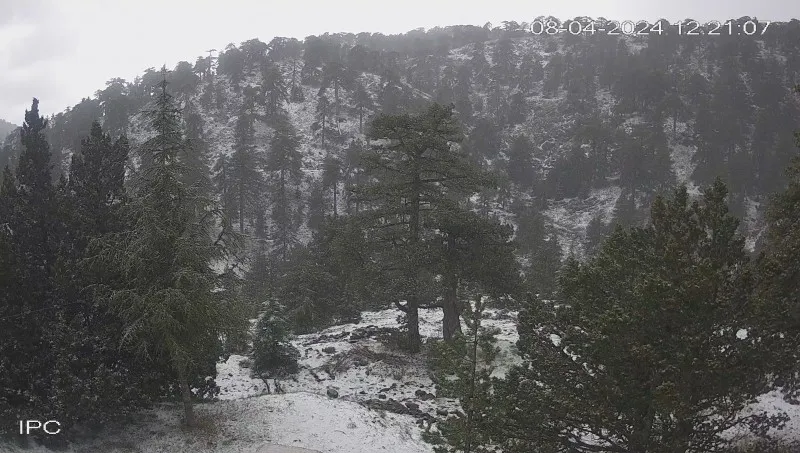 Χιόνισε στο Τρόοδος! ΕΙΚΟΝΕΣ