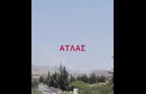 Δίνουν μάχη για να σωθεί το Κρατικό Δάσος Λεμεσού