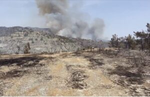 Νεότερη ενημέρωση: Ανεξέλεγκτη η πυρκαγιά στη Λεμεσό – Ρίχνονται κι άλλα πτητικά μέσα στην “μάχη” κατάσβεσης