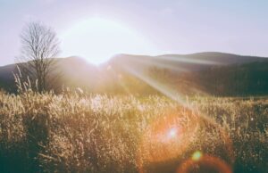 Τμήμα Μετεωρολογίας-1ο Δελτίο Καιρού 18/4/2024