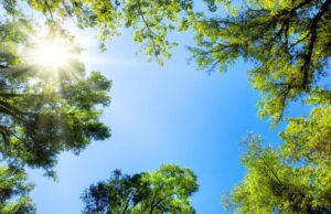 Αίθριος ο καιρός σήμερα – Πέφτει η θερμοκρασία