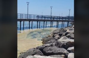 Νέο βίντεο από την ωχρή κηλίδα στον Μόλο της Λεμεσού