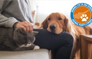 Λεμεσός: Αυτοί είναι οι υποψήφιοι του Κόμματος για τα Ζώα