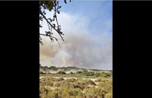 ΒΙΝΤΕΟ με νεότερη ενημέρωση από το μέτωπο της φωτιάς στη Λεμεσό