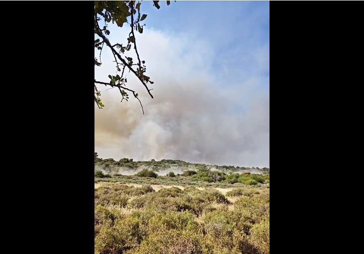 ΒΙΝΤΕΟ με νεότερη ενημέρωση από το μέτωπο της φωτιάς στη Λεμεσό