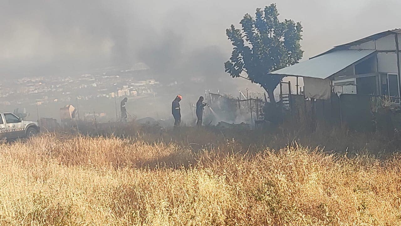 Λεμεσός: Κραυγή απόγνωσης από ιδιοκτήτρια υποστατικού για την φωτιά στον Άγιο Συλά