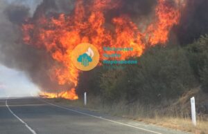 Λεμεσός: Πυρκαγιά στο Πισσούρι – Δίνουν “μάχη” οι δυνάμεις για άμεση κατάσβεση της