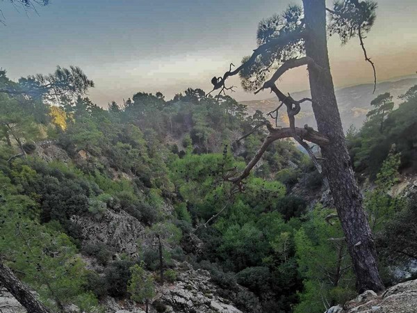 Έβαλαν φωτιά για να ανάψουν ναργιλέ – Σωτήρια η παρέμβαση πολιτών οι οποίοι απέτρεψαν τα χειρότερα