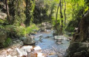 ΕΟΑ: Πάει δικαστήριο για Πλάτρες – Χωρίς οικοδομική άδεια οι κατασκευαστικές εργασίες