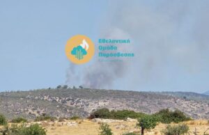 ΒΙΝΤΕΟ: Πυρκαγιά στην επαρχία Λεμεσού- Στη μάχη πέντε εναέρια μέσα