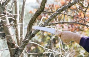 Νεκρός ο άτυχος Σωτήρης από την Παραμύθα