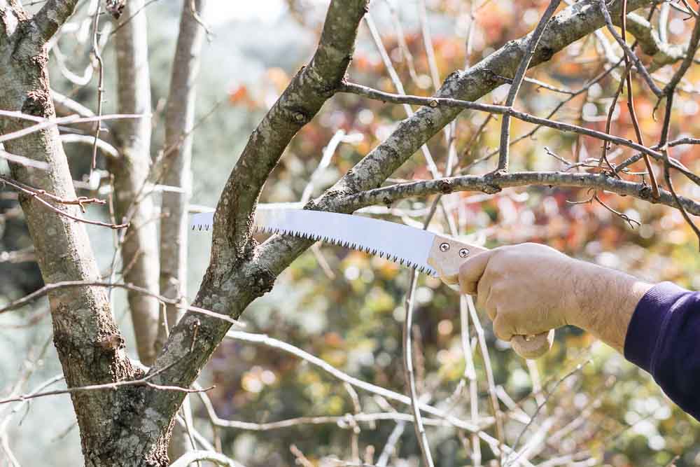 Νεκρός ο άτυχος Σωτήρης από την Παραμύθα