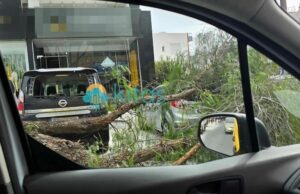 Ζημιές από σφοδρούς ανέμους στη Λεμεσό (photo) Ζημιές από σφοδρούς ανέμους στη Λεμεσό (photo)