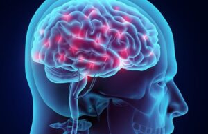 Έρευνες: Πιθανή σχέση μεταξύ των μικροπλαστικών στα υπερεπεξεργασμένα τρόφιμα και προβλημάτων υγείας του εγκεφάλου