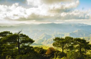 Ο Shakespeare «πάει» στο Βουνό για ένα υπαίθριο μίνι φεστιβάλ θεάτρου