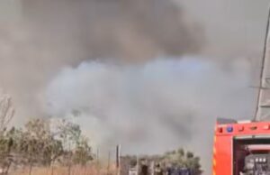 Ρίχθηκαν στην μάχη κατάσβεσης πτητικά μέσα – Εκκενώθηκε ξενοδοχείο σκύλων