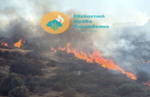 Συναγερμός στα Πολεμίδια: Νέα φωτιά κοντά σε κατοικημένη περιοχή (ΒΙΝΤΕΟ)