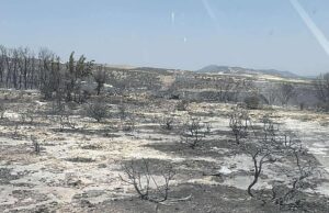 Έφτασαν στην Κύπρο οι δέκα εμπειρογνώμονες από τις ΗΠΑ για τις φονικές πυργκαγιές της Λεμεσού