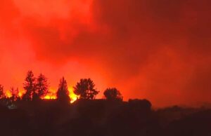 Στη δημοσιότητα δίνει ο ΠτΔ τις εκθέσεις για την φονική Πυρκαγιά