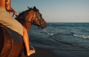 Ελλάδα: Άλογα πάτησαν πεντάχρονη σε παραλία – Νοσηλεύεται στο νοσοκομείο Καβάλας