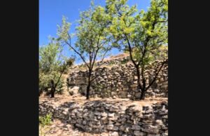 VIDEO: Στα χνάρια των παλιών μαστόρων – Οι ξερολιθιές που κράτησαν τη γη ζωντανή