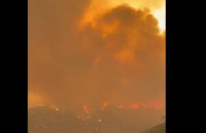 Κοινοτάρχης Σουνίου–Ζανατζιάς: «Καταστροφή… Είμαστε καμένο χωριό»